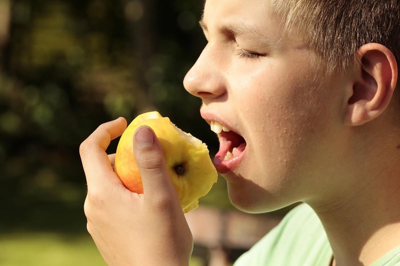 Innovative Bites